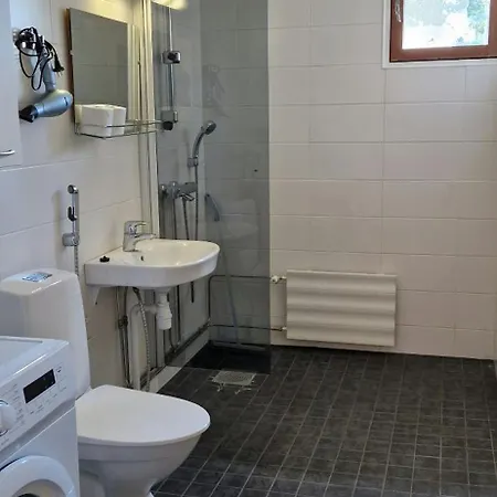 Spacious For 5 * Ummeljoki